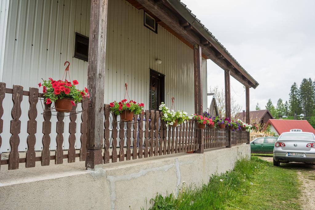 Apartment M Zabljak  Bagian luar foto